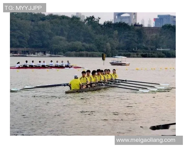 南京排球队速度之美大满贯点评展现竞技魅力与团队协作