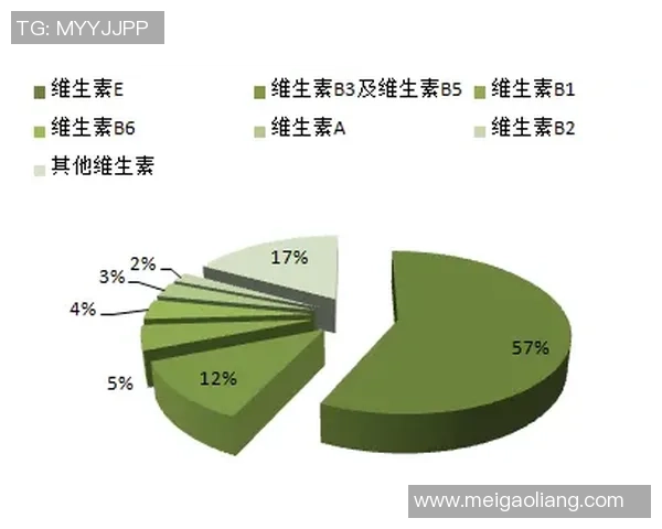 杭州排球队个人能力分析与表现评估研究报告